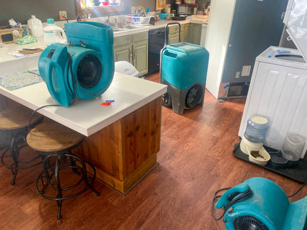 Best Water damage cleanup near me  in Country Knolls, NY
