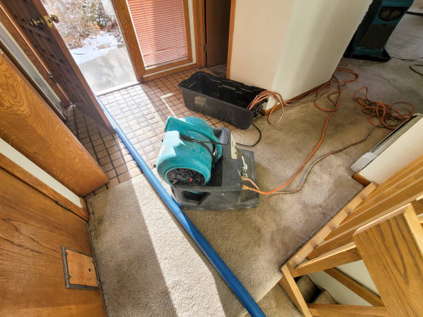 Best 24-hour water damage restoration  in Country Knolls, NY