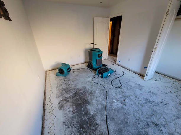 Best Flooded house restoration  in Country Knolls, NY