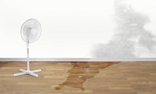 Best Basement water damage restoration  in Country Knolls, NY