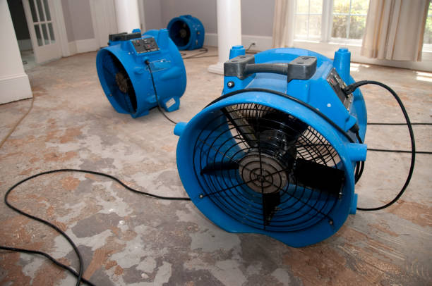 Best Water damage restoration mold remediation  in Country Knolls, NY
