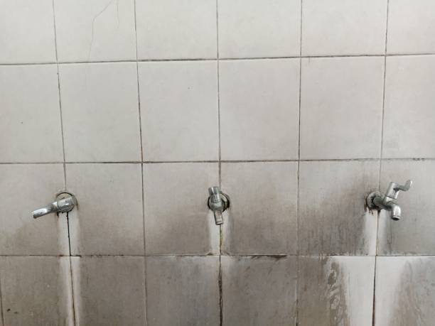 Best Water damage contractors near me  in Country Knolls, NY