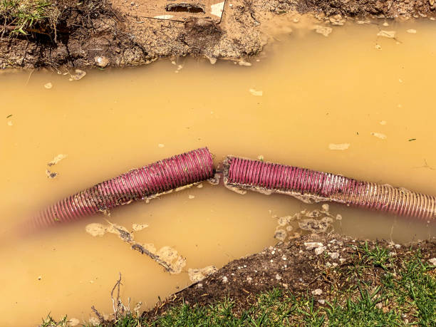 Best Flood restoration services  in Country Knolls, NY