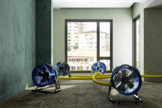 Best Commercial water damage restoration  in Country Knolls, NY